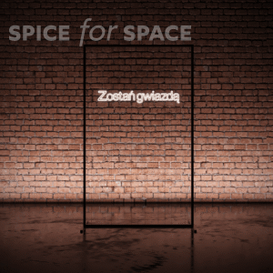 Neon ZOSTAŃ GWIAZDĄ - obrazek 4