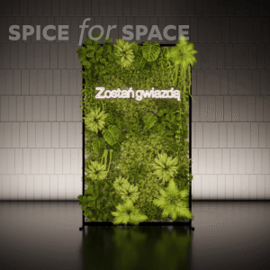 Neon ZOSTAŃ GWIAZDĄ - obrazek 2
