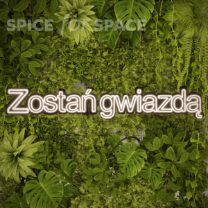 Neon ZOSTAŃ GWIAZDĄ
