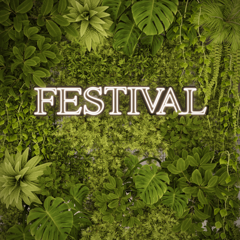 Neon FESTIVAL - obrazek 2