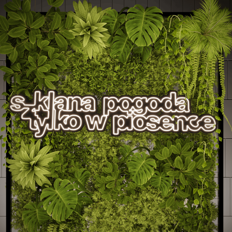 Neon SZKLANA POGODA TYLKO W PIOSENCE - obrazek 4