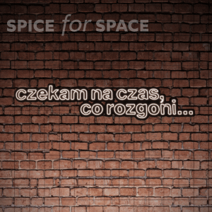 Neon CZEKAM NA CZAS CO ROZGONI…