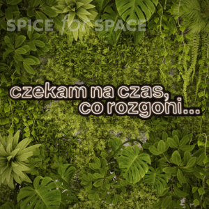 Neon CZEKAM NA CZAS CO ROZGONI… - obrazek 2