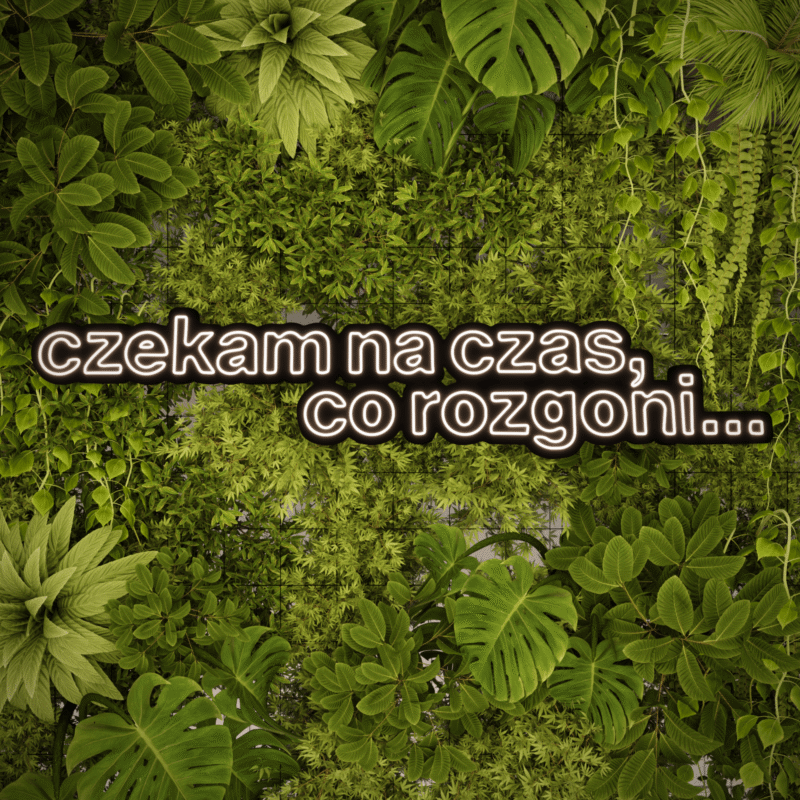 Neon CZEKAM NA CZAS CO ROZGONI… - obrazek 2