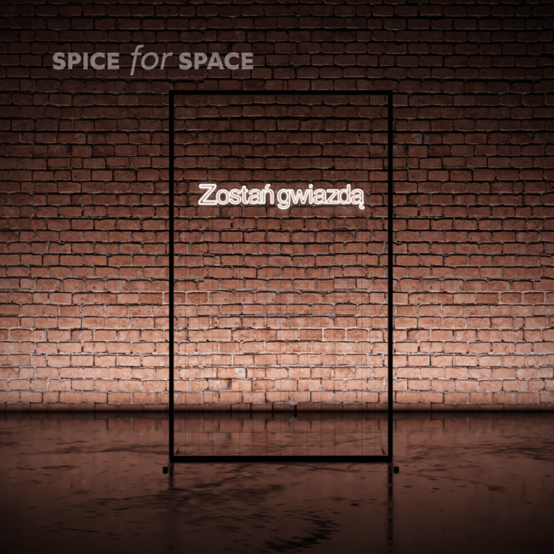 Neon ZOSTAŃ GWIAZDĄ - obrazek 4