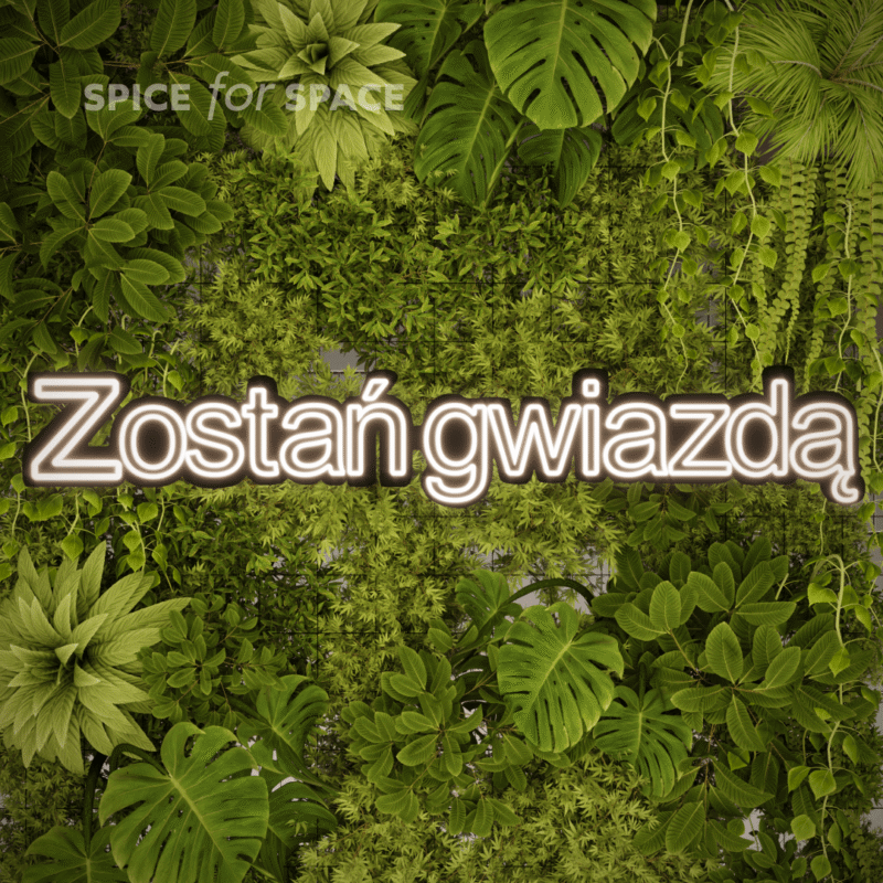 Neon ZOSTAŃ GWIAZDĄ