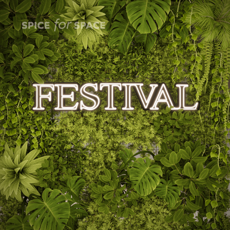 Neon FESTIVAL - obrazek 3